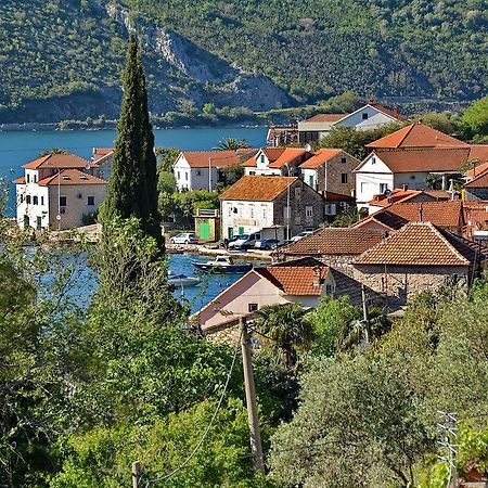 Apartments Dinko Zifra Tivat Zewnętrze zdjęcie